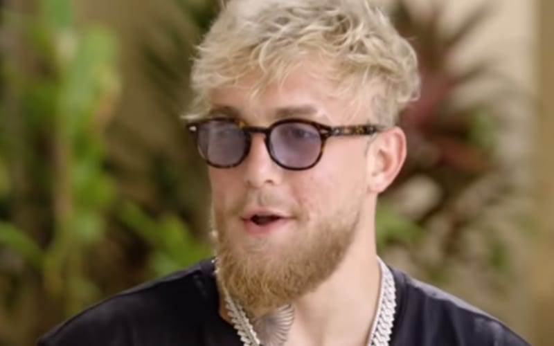 Jake Paul Eventually Wants to Throw Hands Against Canelo Alvarez In Title Match