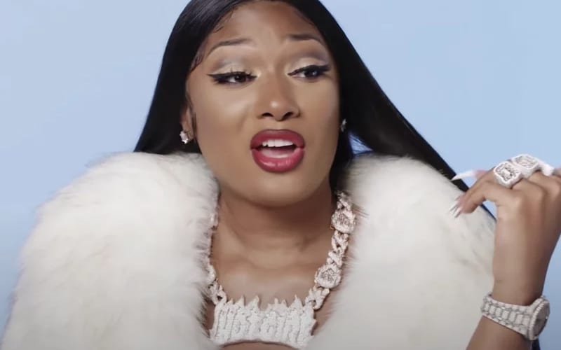 Megan Thee Stallion Fans Go After Politician For Insulting Her Music