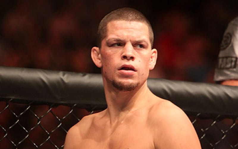 Nate Diaz Accused Of Running From Fight