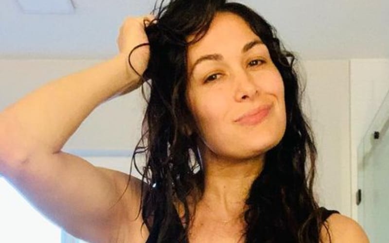 Brie Bella Fires Back At Fans Pointing Out Baby Bump