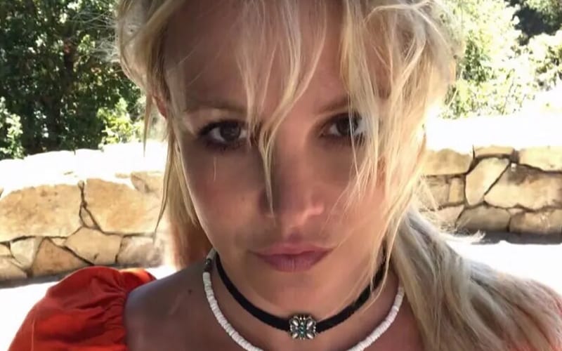 Britney Spears Explains What Her Hidden Tattoo Means