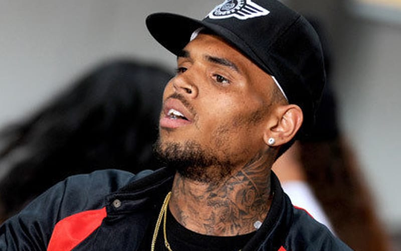 Chris Brown Expecting Child With Instagram Model