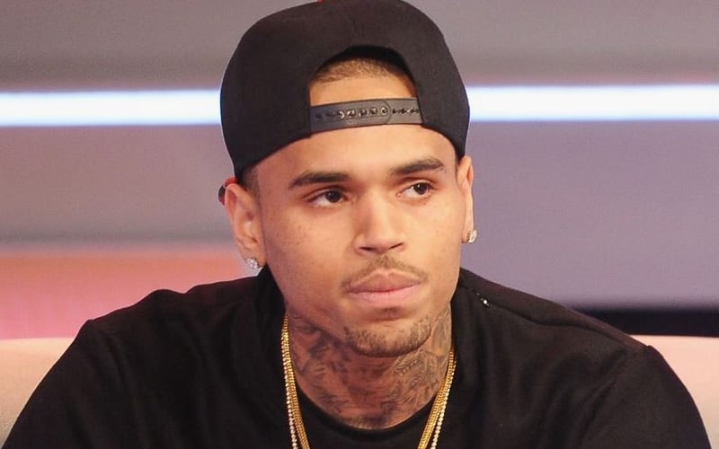 Chris Brown Responds To Allegations That He Slapped A Woman’s Weave Off