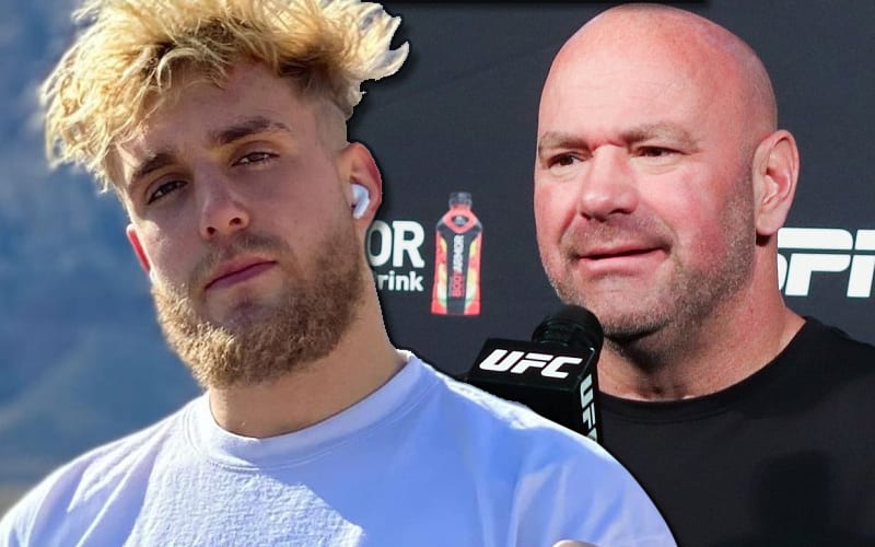 Jake Paul Clowns Dana White For Claim That His Fights Are Fixed