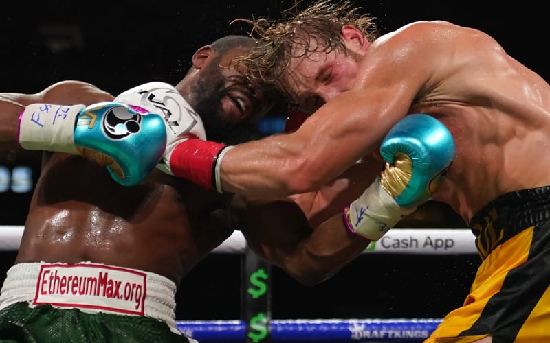 Video Shows Floyd Mayweather Accidentally Knocked Out Logan Paul