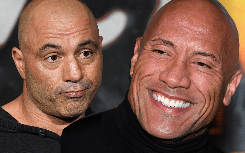 The Rock Is Down To Get High With Joe Rogan