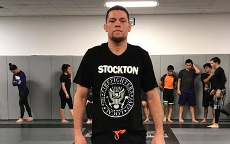 Nate Diaz Plans On Starting His Own Fight Promotion After UFC Retirement