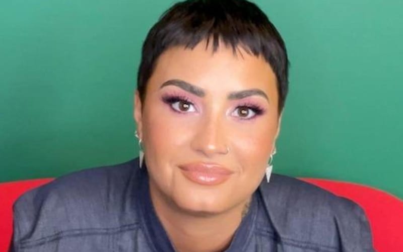 Demi Lovato Speaks Out On People Mislabeling Nonbinary Status