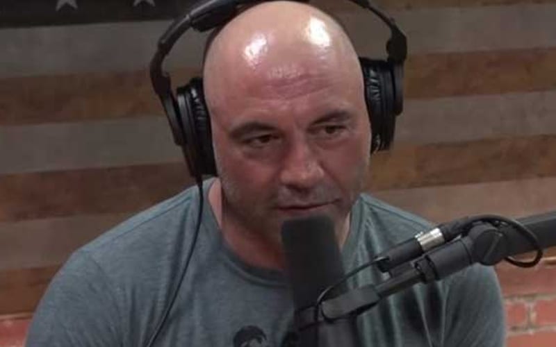 Calls Within Spotify To Remove Joe Rogan Show From The Air