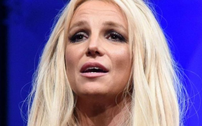 Britney Spears’ Dogs Nearly Died From Wrong Food & Dehydration