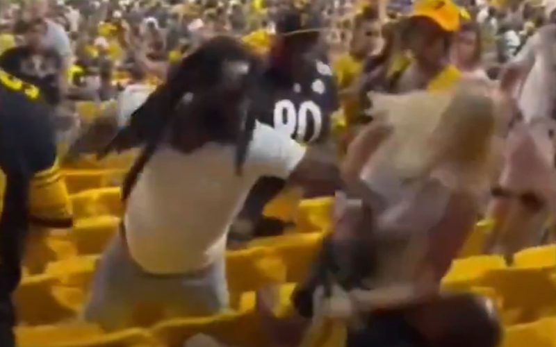 Fans Start Wild Brawl At Pittsburgh Steelers Game