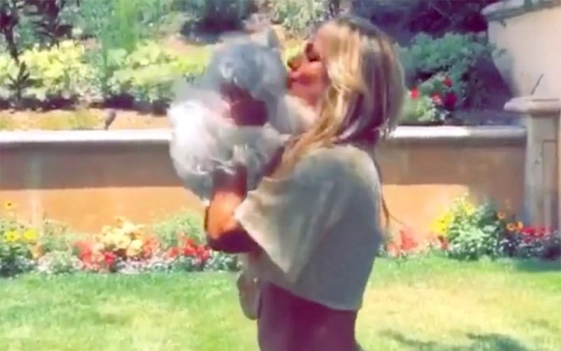 Britney Spears Finally Gets Her Dogs Back After Housekeeper Took Them