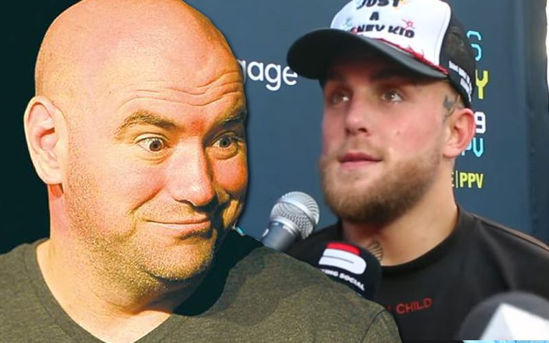 Dana White Says Showtime Should Pay Jake Paul More
