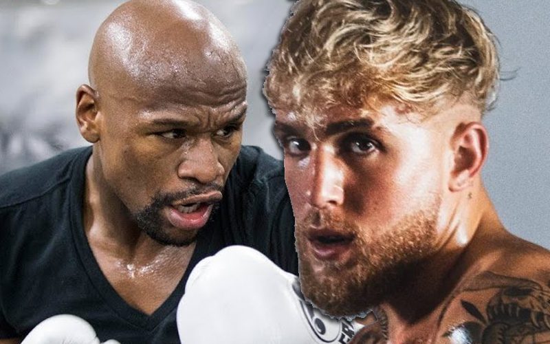 Jake Paul Accuses Floyd Mayweather Trying To Squash His Popularity