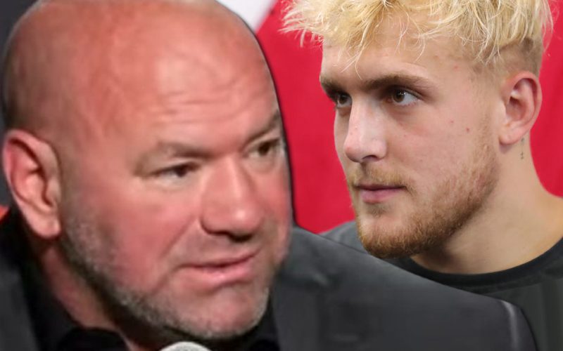 Dana White Has Hilarious Reaction To Jake Paul Claiming He’ll Knock Him Out