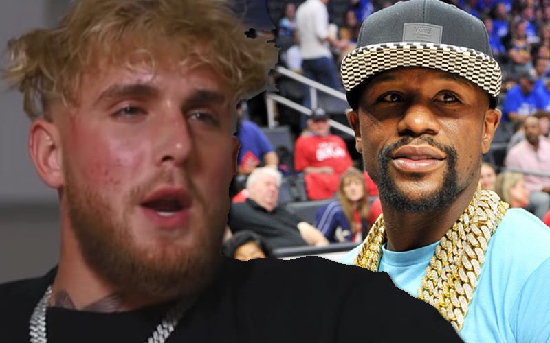 Jake Paul Slid Into Floyd Mayweather’s DMs To Brag About His Pre-Buy Record