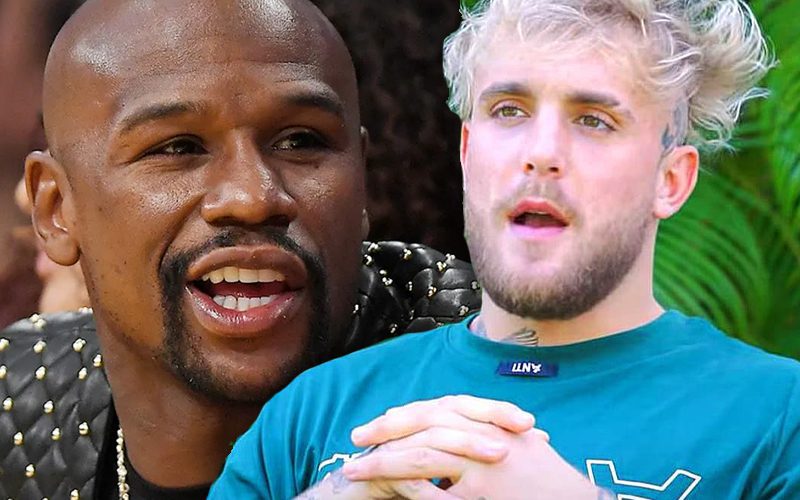 Jake Paul Runs Away From Floyd Mayweather During Confrontation In Miami
