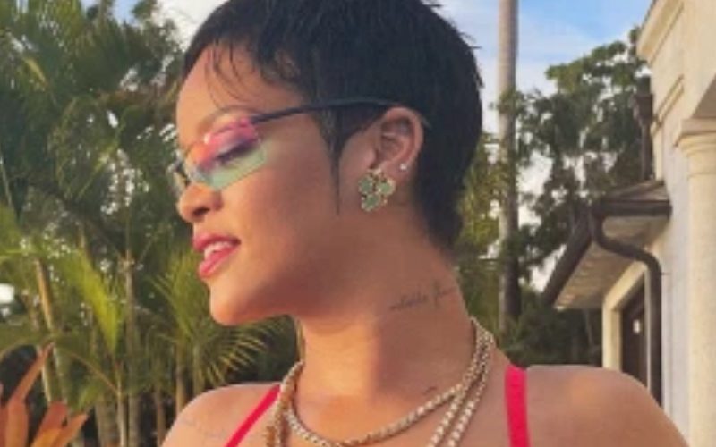 Rihanna Leaves Fans Speechless While Swimming In Catsuit