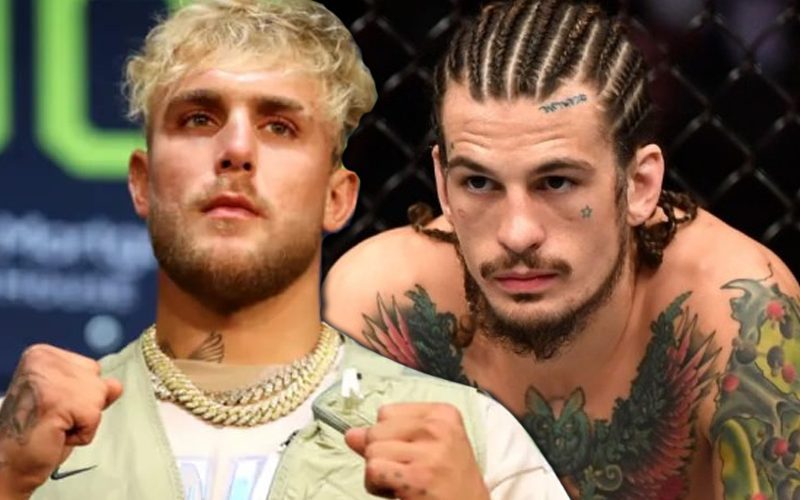 UFC Fighter Sean O’Malley Wants To Fight Jake Paul