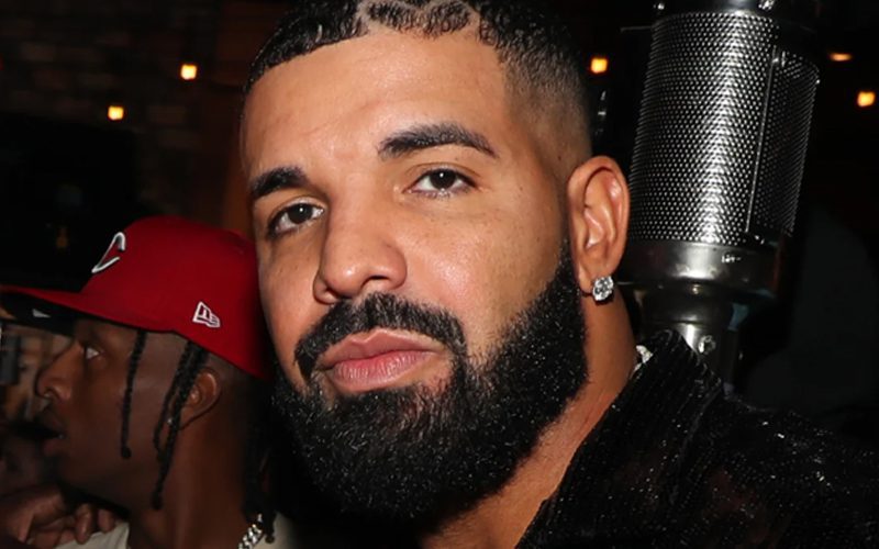 Drake Purchases Huge Stake In Fried Chicken Chain