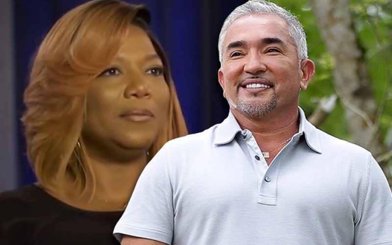 Lawsuit Says Cesar Millan’s Pitbull Mauled Queen Latifah’s Dog To Death