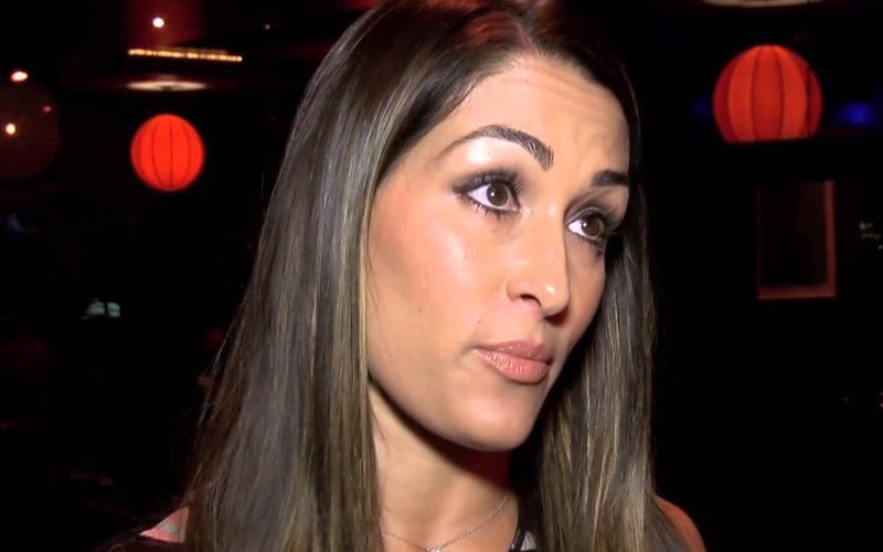 Nikki Bella Says She Is Retired From Pro Wrestling For Life