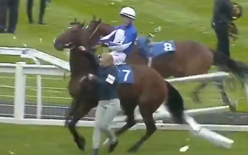Horse Jockey Injured In Scary Incident Caught On Video