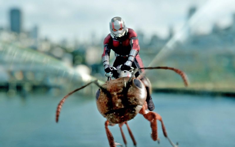 Ant-Man 3 Writer Makes Great Joke About Release Date Delay