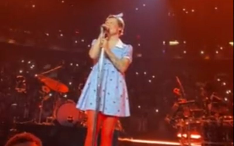 Harry Styles Performs As Dorothy From The Wizard of Oz At Madison Square Garden