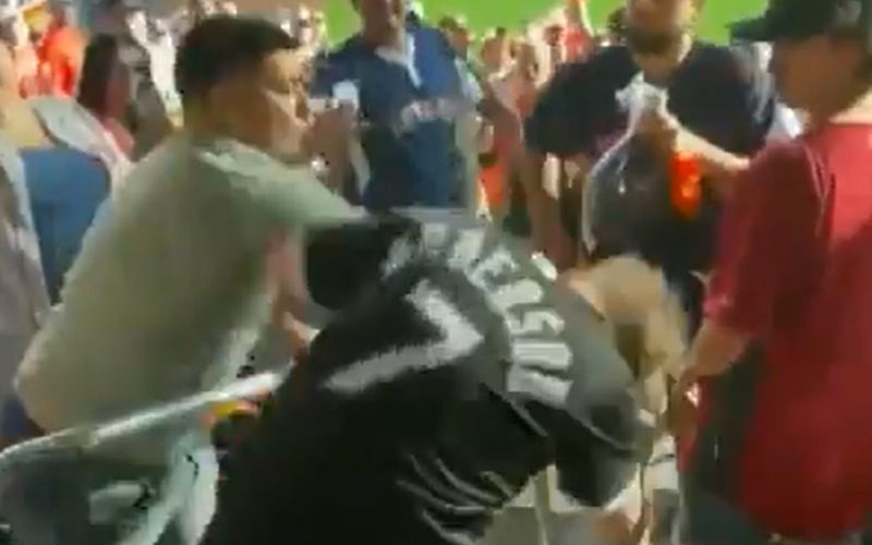 Fan Assaulted During Houston Astros vs Chicago White Sox Game