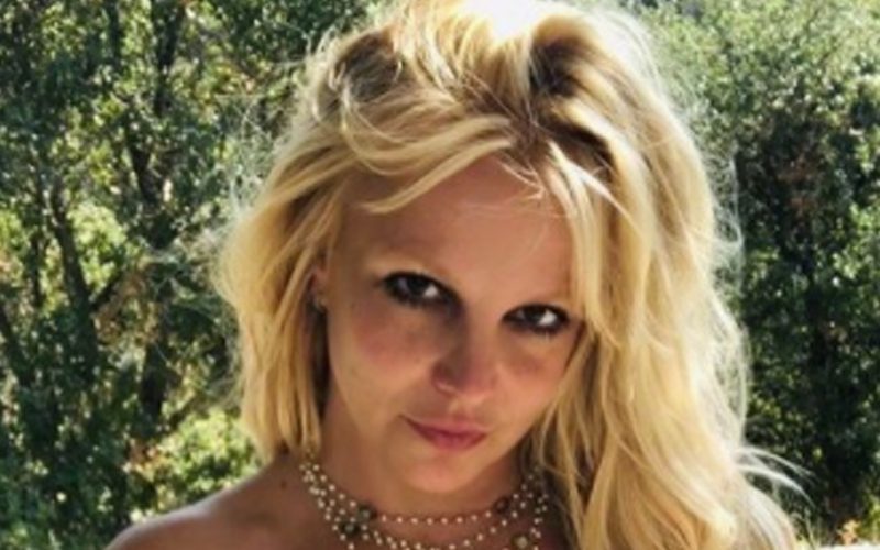 Britney Spears Would Rather Fall Off A Cliff Than Have Consultation About Body Improvements