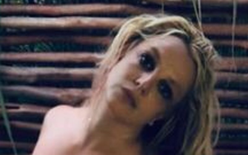 Britney Spears Bares All On Instagram After Huge Conservatorship Win