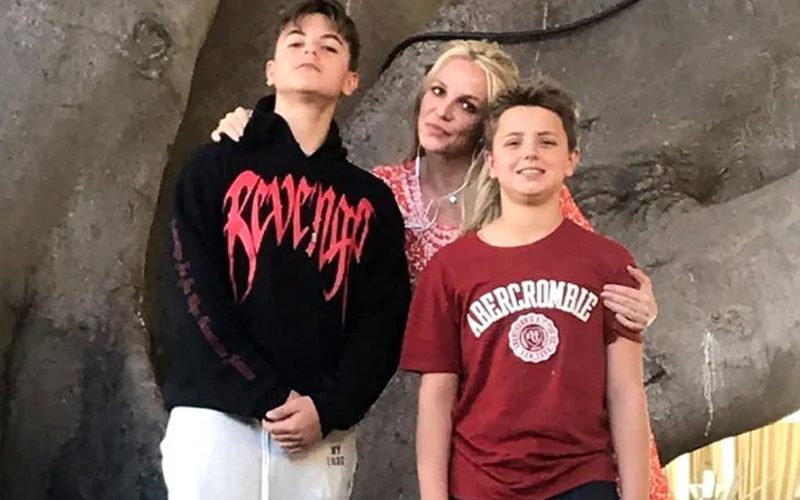 Britney Spears’ Sons Haven’t Seen Her In 6 Months