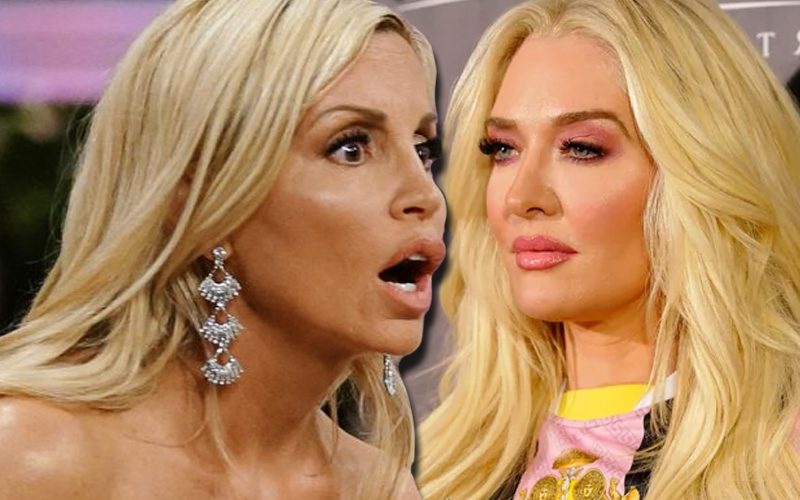 Camille Grammer Trolls Erika Jayne With Question About Mafia Ties
