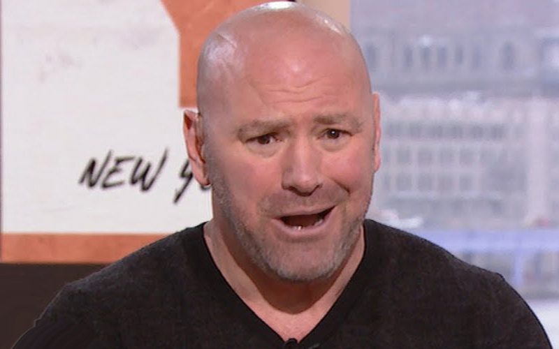 Dana White Shoots Down Claim That Boxers Make More Money Than UFC Fighters