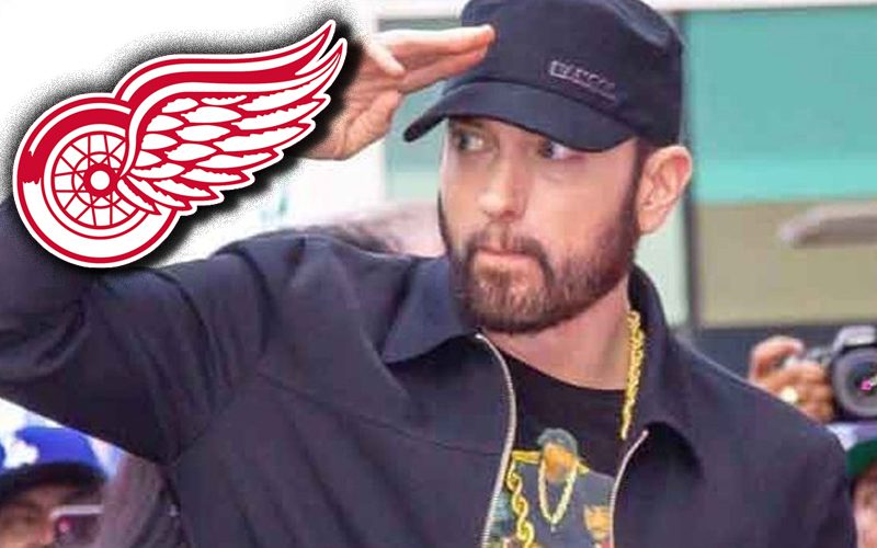Eminem Gets Great Shout Out During Detroit Red Wings Game
