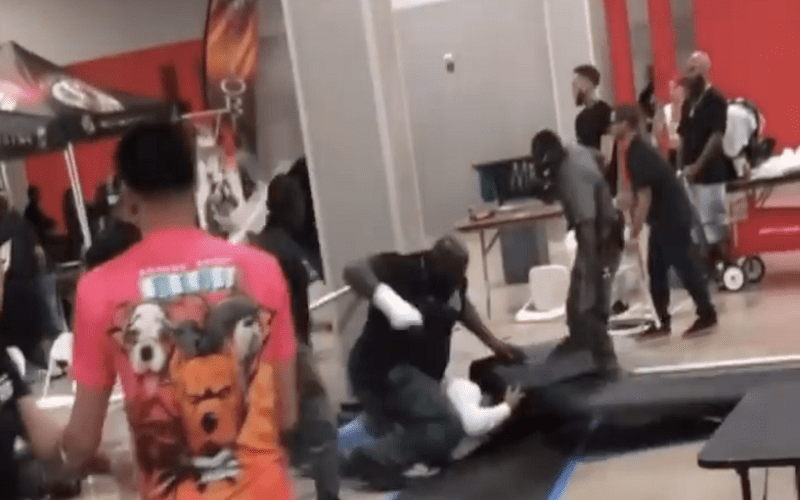 Wild Brawl Breaks Out At Florida Dog Show