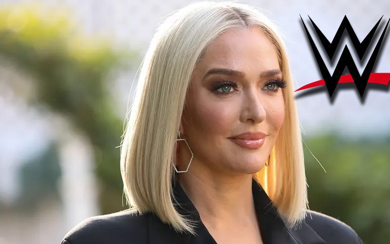Real Housewives Of Beverly Hills’ Erika Jayne Reacts To Sign About Her On WWE Television