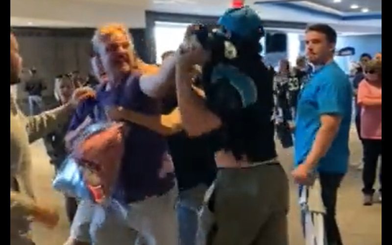 Absolute Chaos Breaks Out In Panthers vs Vikings Fan Brawl