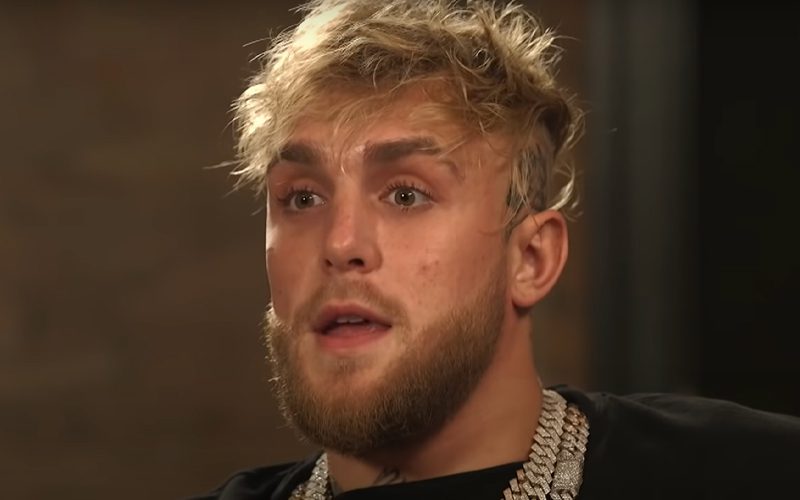 Jake Paul Upset About Commercials Ruining One Of The Best Parts Of Boxing