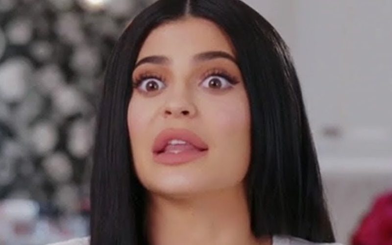Kylie Jenner Stalker Arrested After Jumping Fence to Propose