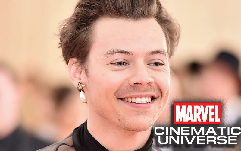 Harry Styles Joins Marvel Cinematic Universe