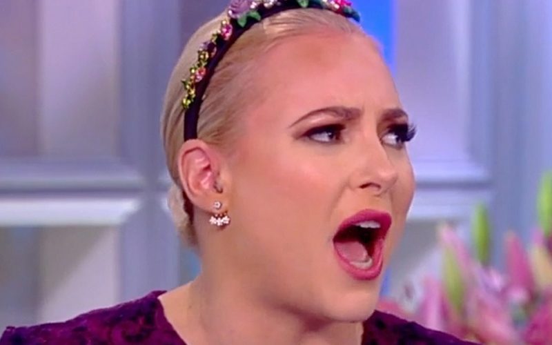 Meghan McCain Was Forced Off The View Due To Inappropriate Behavior