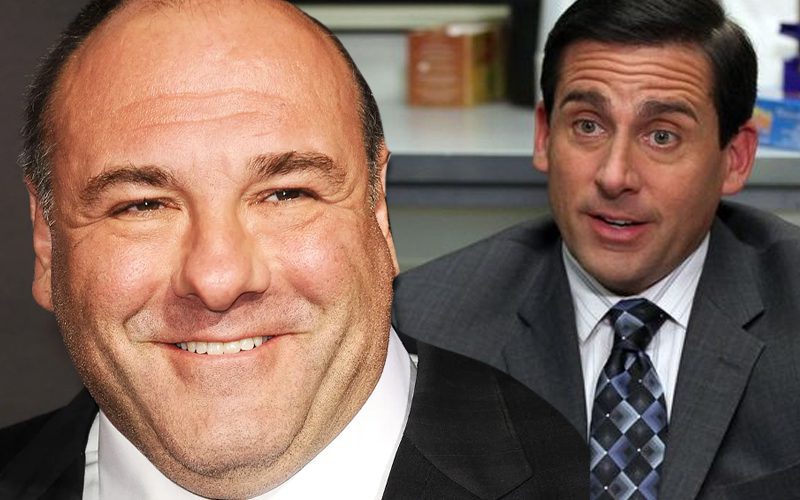 James Gandolfini Almost Replaced Steve Carell On ‘The Office’