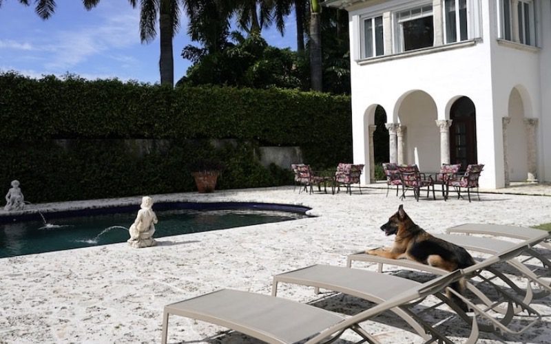 Madonna’s Former Mansion Is Being Sold By A German Shepherd
