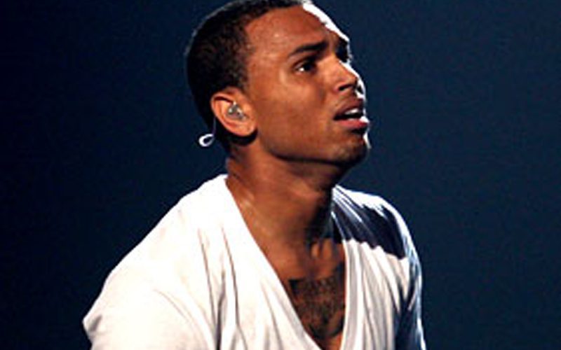 Chris Brown’s Housekeeper Wants $1 Million After Dog Attack
