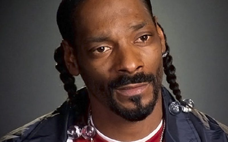 Snoop Dogg Says White Haired Rappers Deserve Same Love As Rock Stars