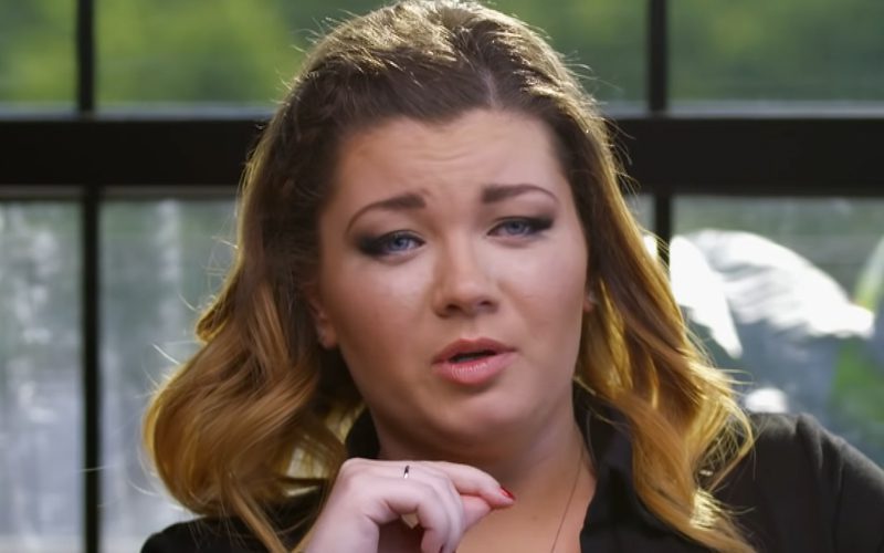 Teen Mom’s Amber Portwood Mocked By Fans Over Her Daughter’s Birthday