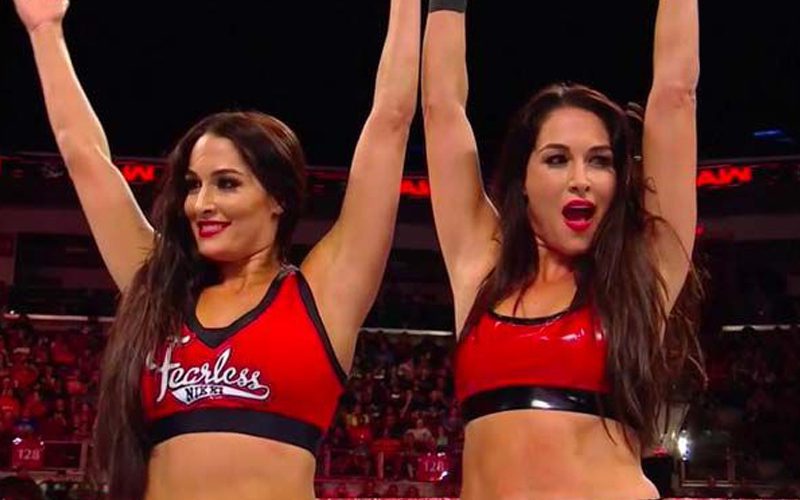 WWE Has A New Project For The Bella Twins