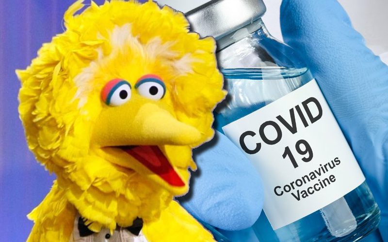 Big Bird Announces He Has Taken COVID-19 Vaccine
